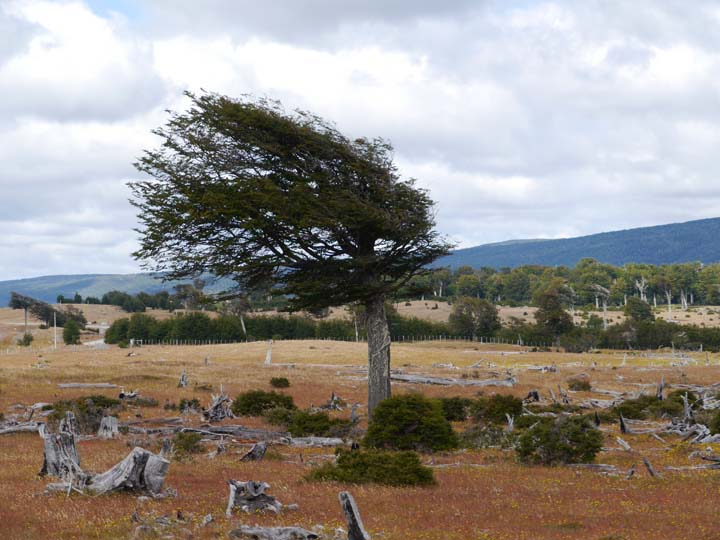 Patagonien - Chile